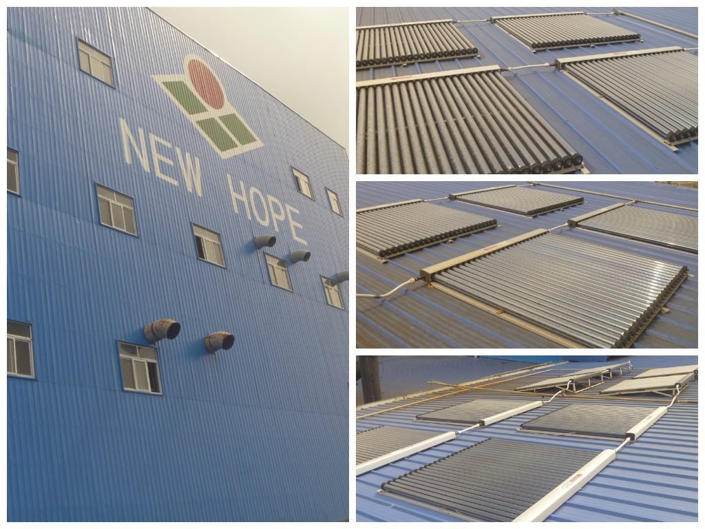 New Hope Pulilan Thermo Tank Solar Collectors 1024x768 2